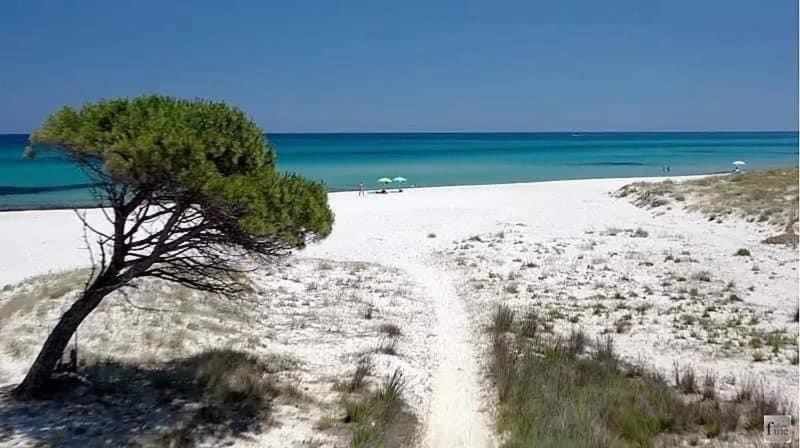 Le Residenze Del Mare Affittacamere La Caletta Exterior foto